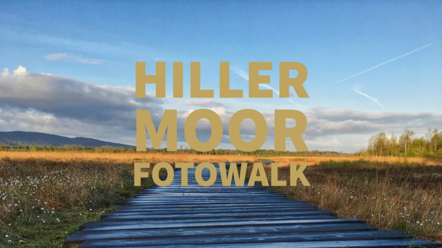 Fotowalk im Hiller Moor.