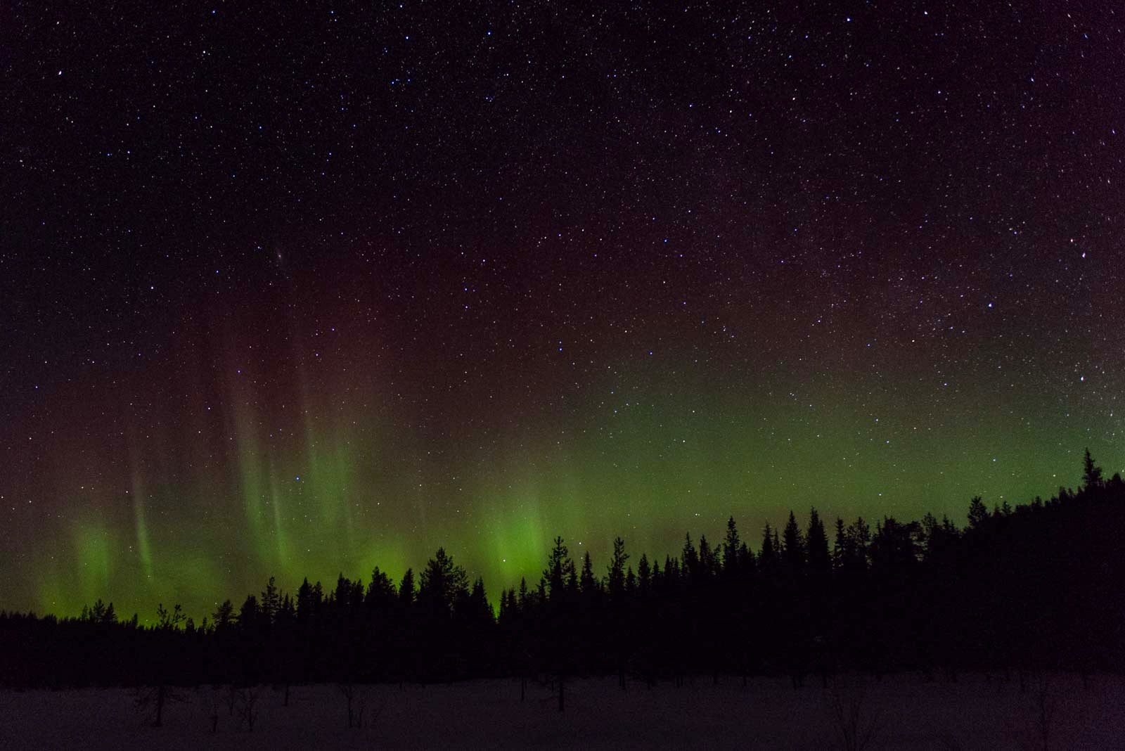 Prachtvolles Spektakel am Himmel: Nordlichter in Schweden